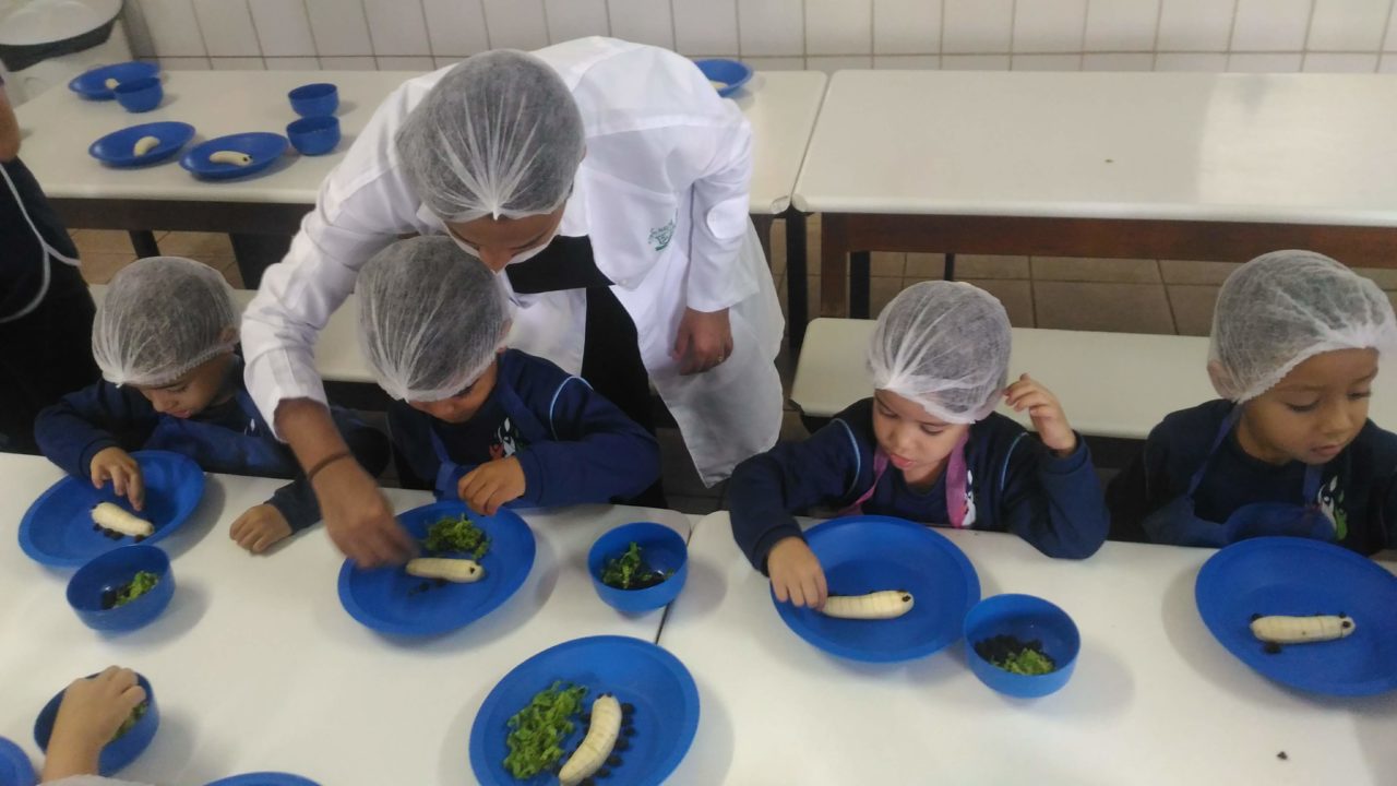 Projeto Educação Alimentar E Nutricional Em Escolares